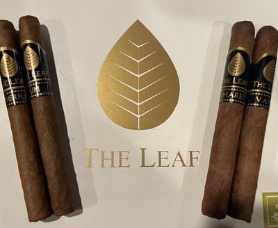 Leaf Cherry 5 1/2 x 42 Bag 5 - Cigar World 